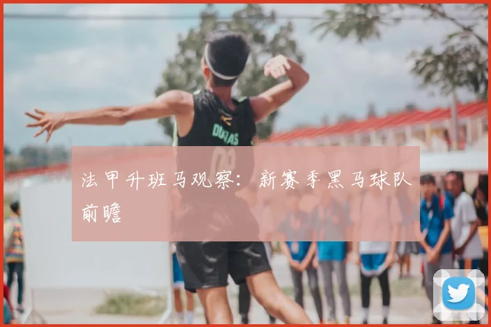 法甲升班马观察：新赛季黑马球队前瞻